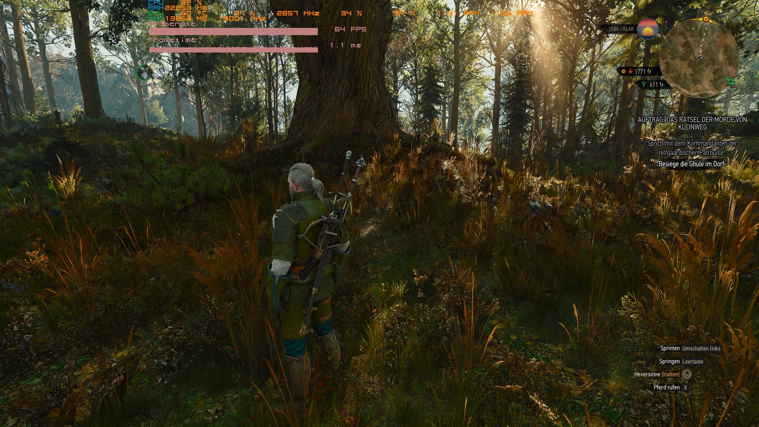 witcher3_2026_10_06_00_35_59_746.jpg