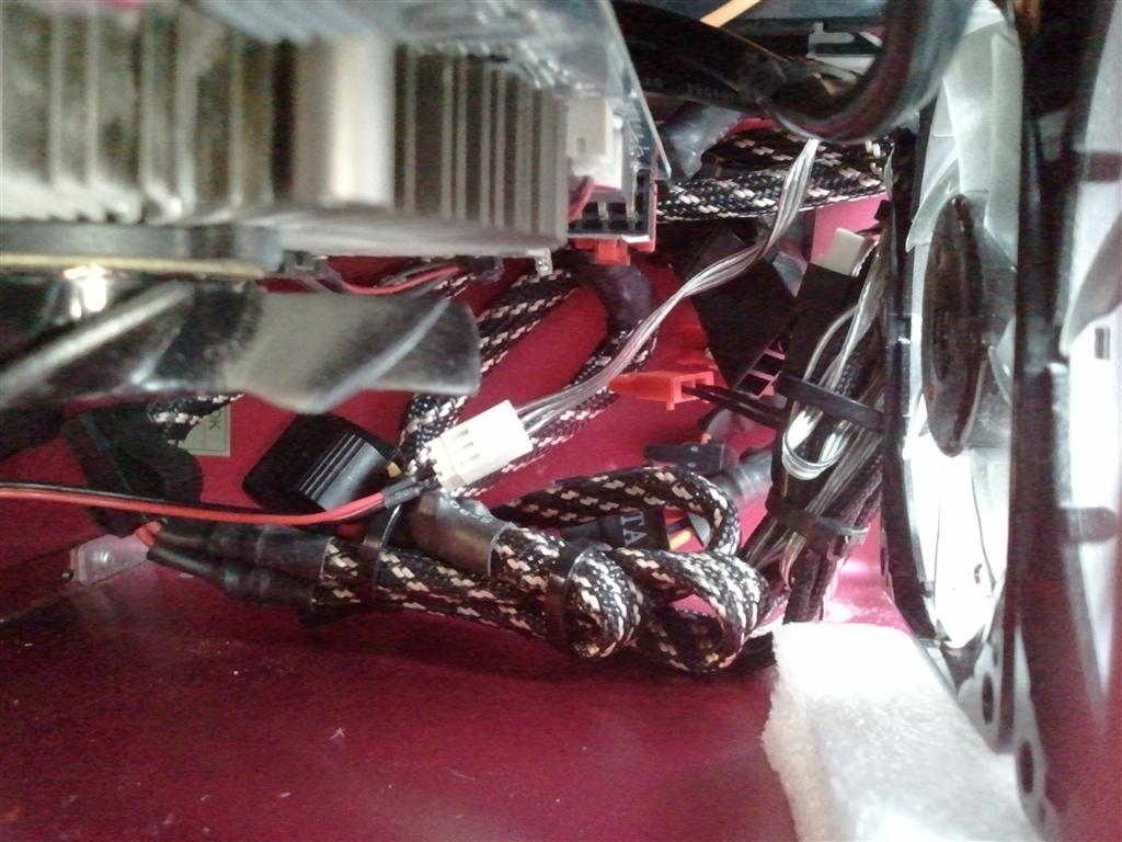 wp_000861-jpg.271817