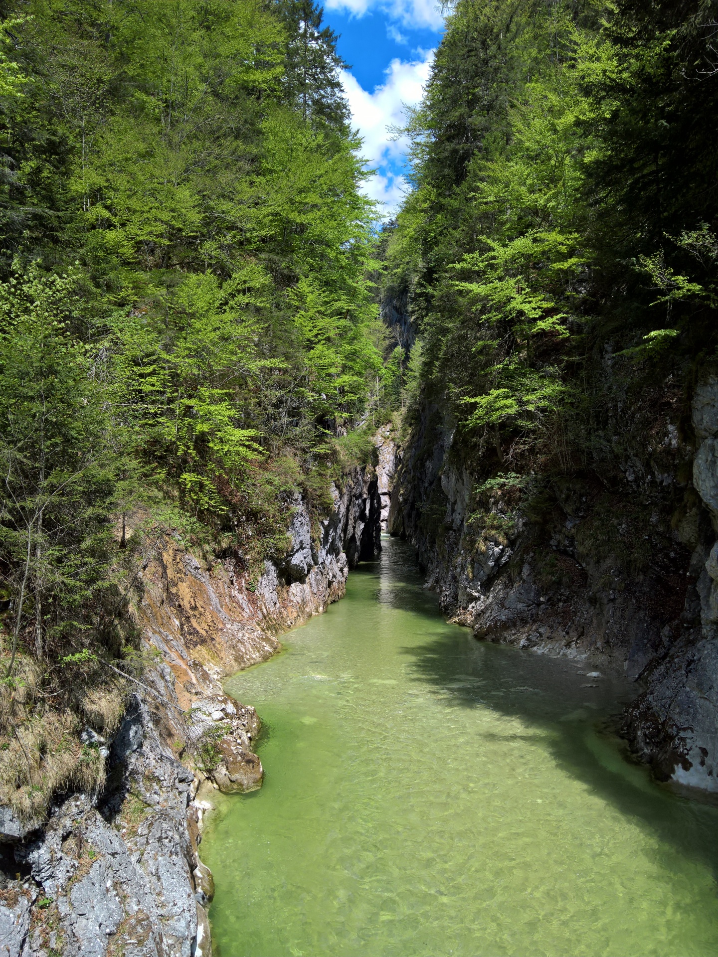 WP_20160507_12_56_53_Rich FHD.jpg