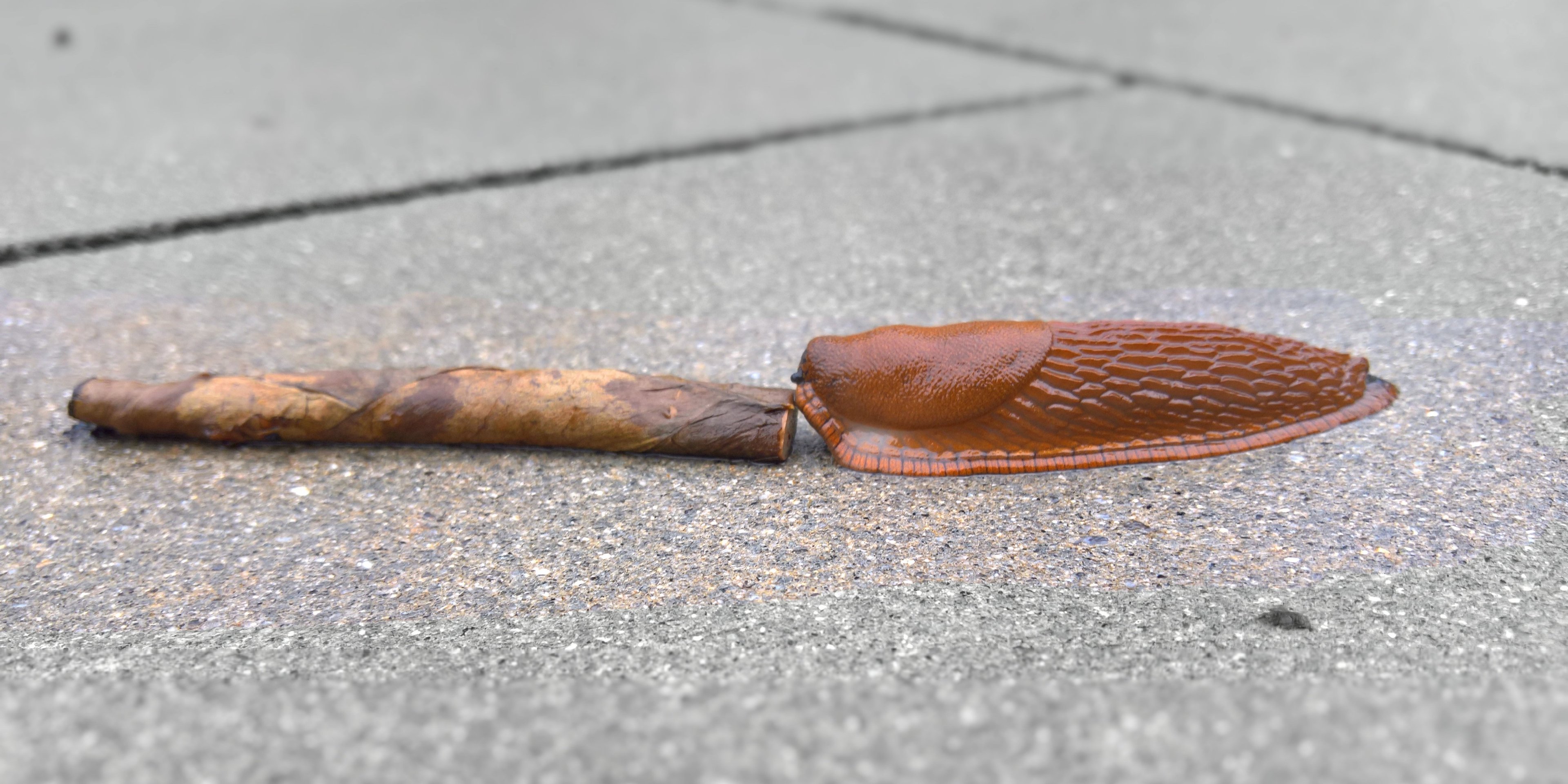 WP_20160805_17_43_57_Rich (2) - Kopie.jpg