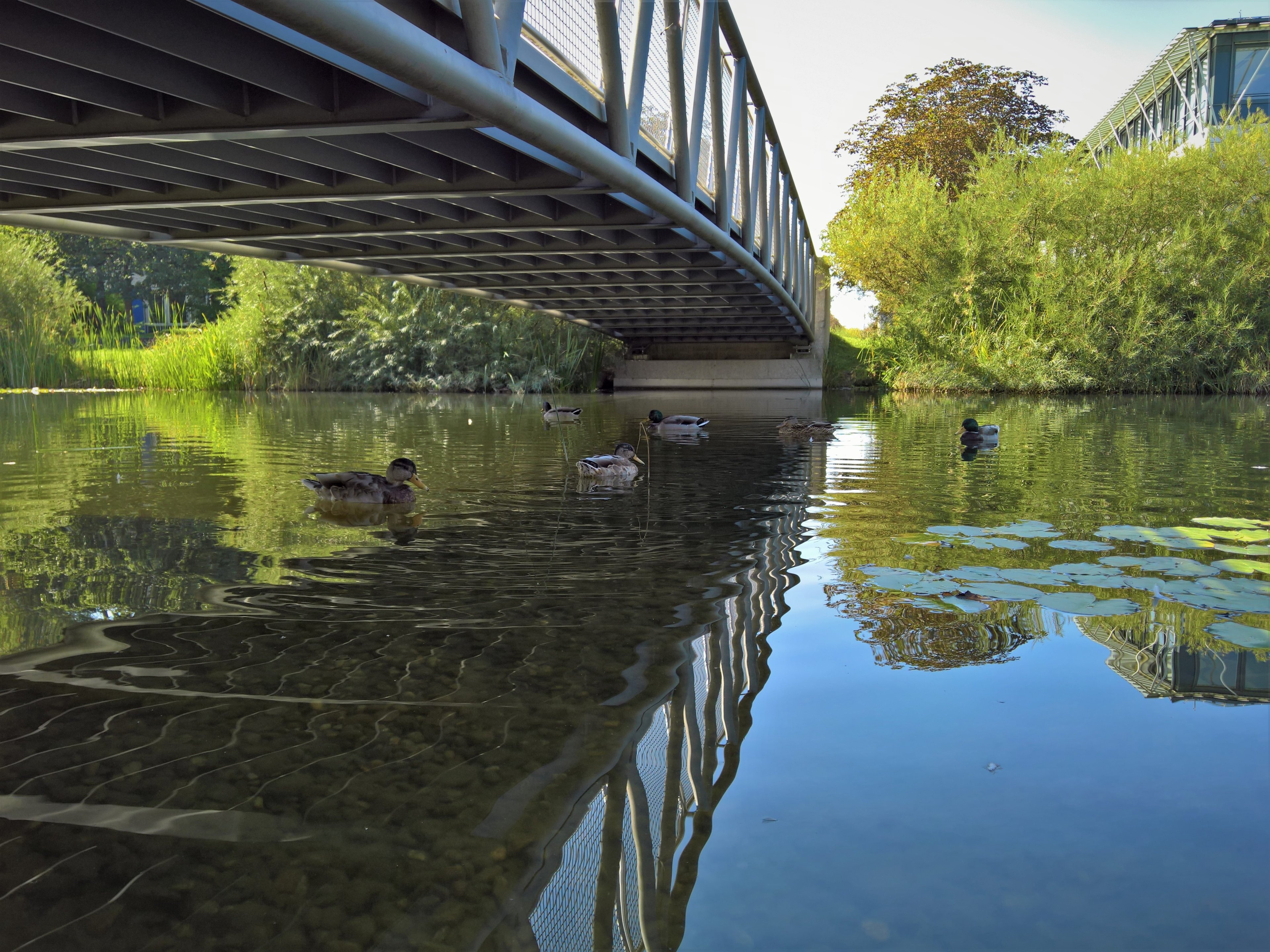 WP_20160913_10_50_21_Rich (1).jpg