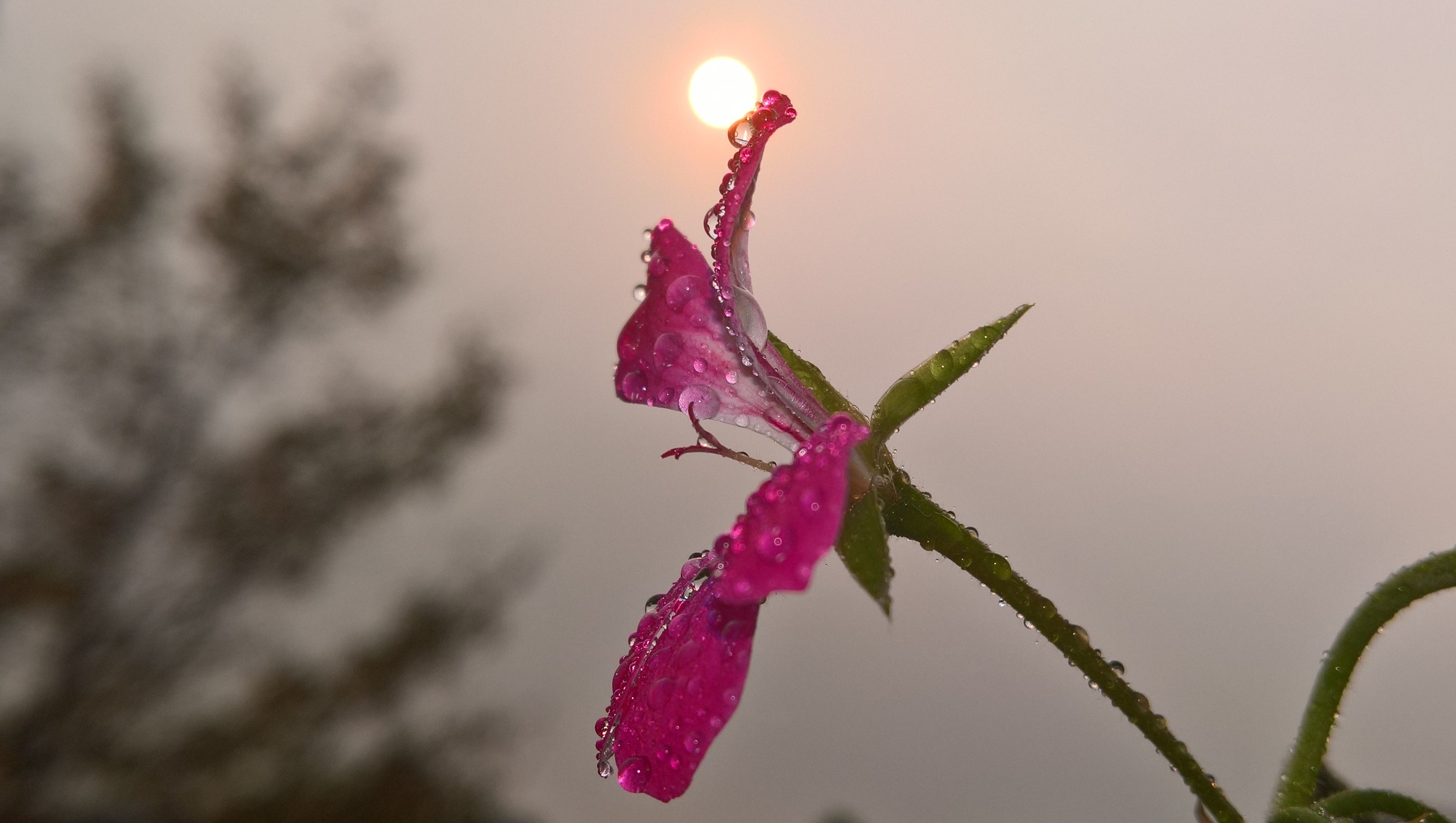 WP_20171017_12_44_02_Pro (3).jpg