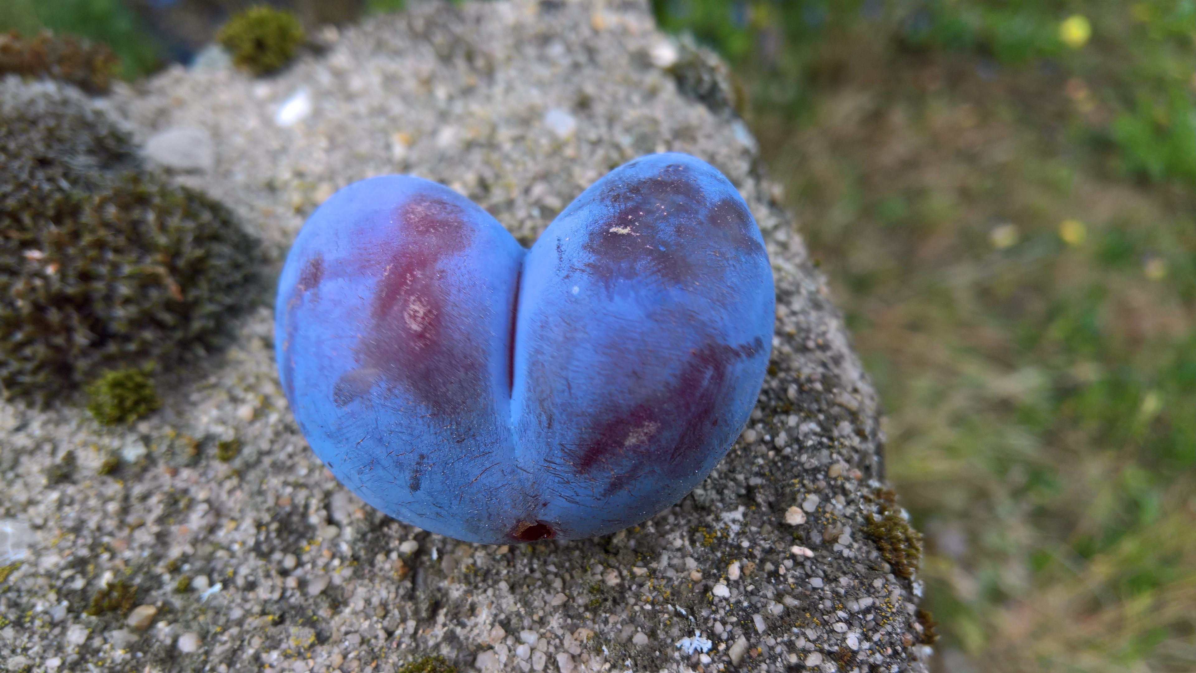 WP_20180913_16_39_06_Rich (2).jpg