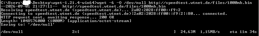 wt ipv6 Speed.png