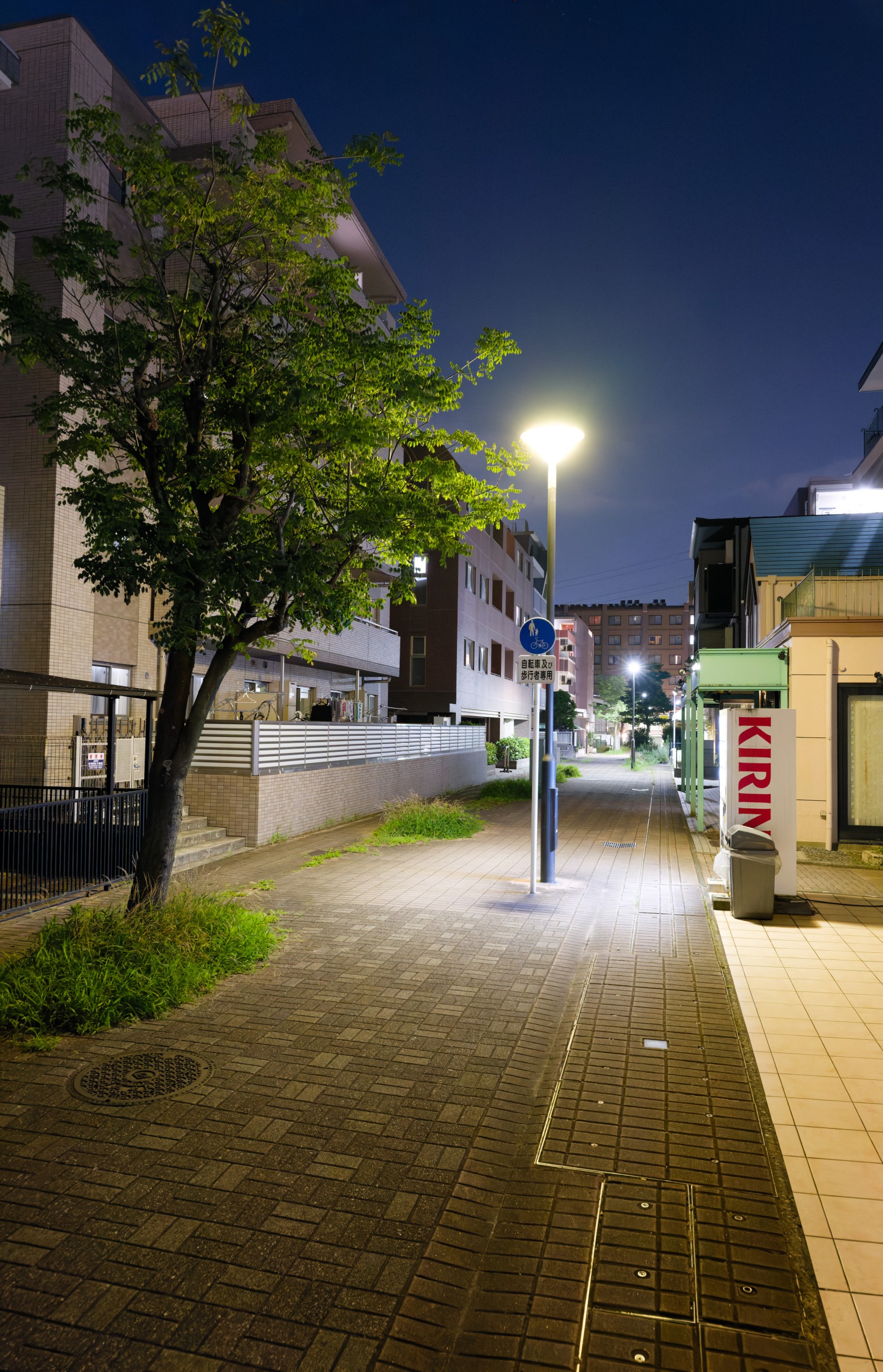 Z9_Night_Test_1_Denoiser_DxO.jpg