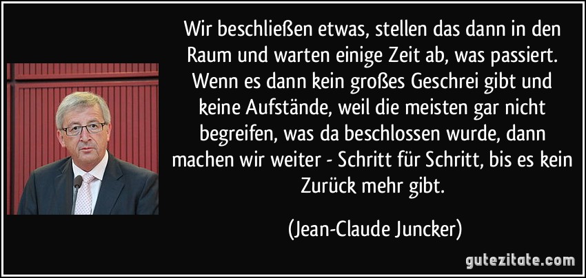 zitat-wir-beschlieszen-etwas-stellen-das-dann-in-den-raum-und-warten-einige-zeit-ab-was-passie...jpg