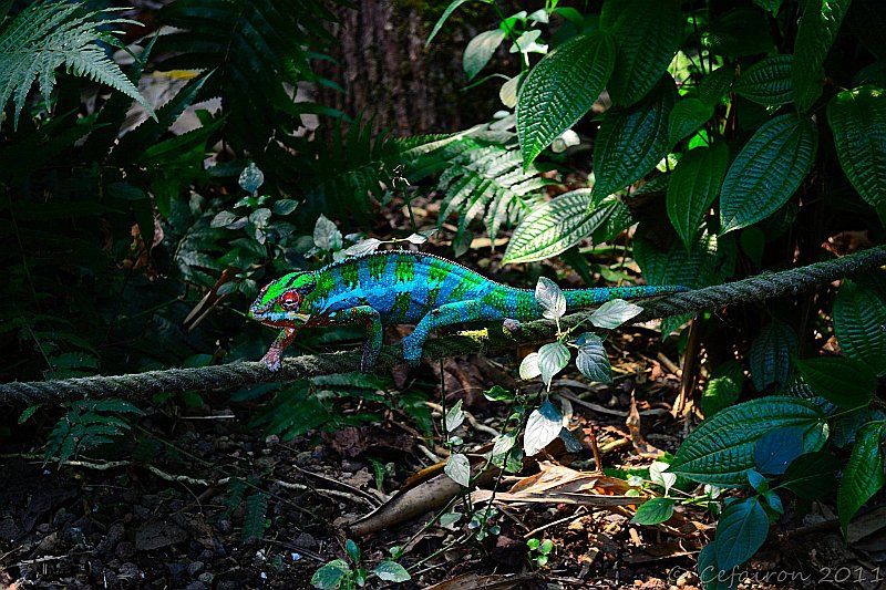 zuerich-39-jpg.231352