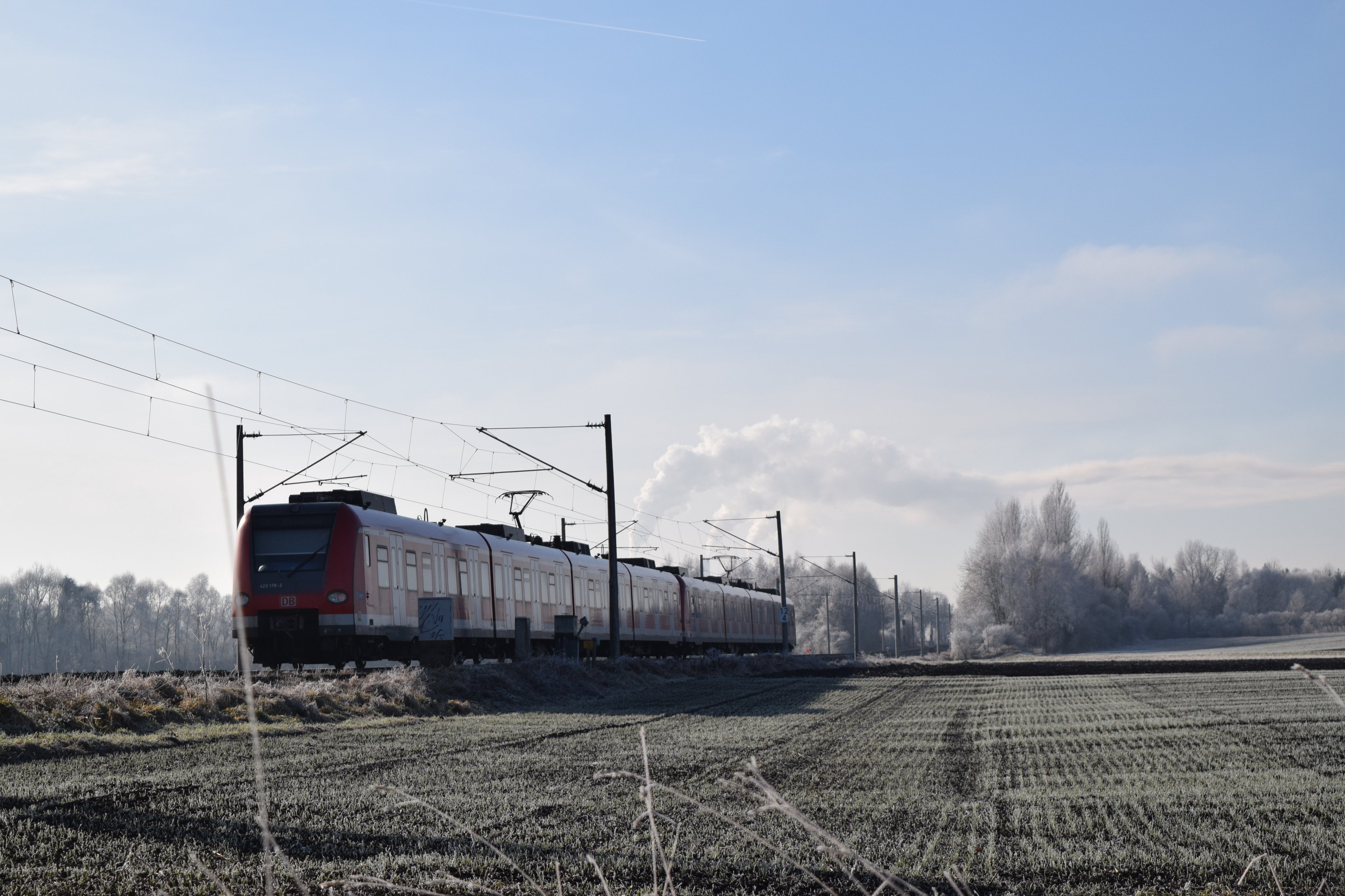 Zug Landschaft S8 ankommend (4).JPG